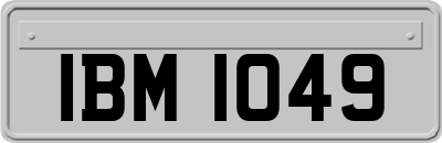 IBM1049