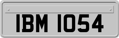 IBM1054