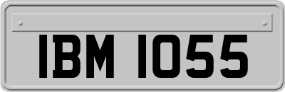 IBM1055