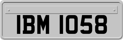 IBM1058