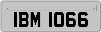 IBM1066