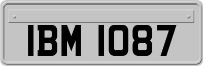 IBM1087