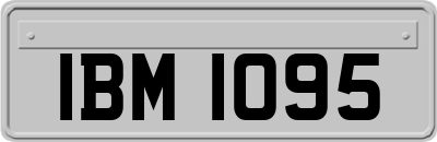 IBM1095