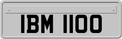 IBM1100