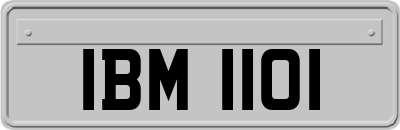 IBM1101