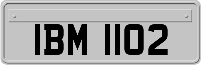 IBM1102