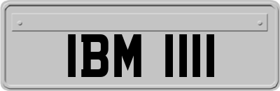 IBM1111