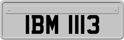 IBM1113