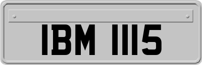 IBM1115