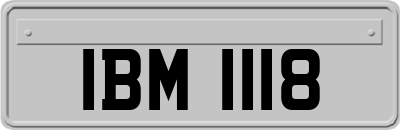 IBM1118