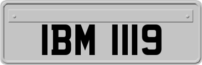 IBM1119