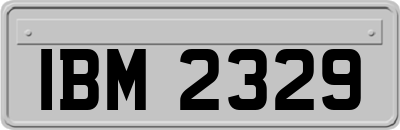 IBM2329