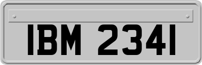 IBM2341