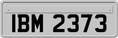 IBM2373