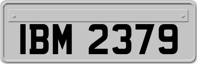 IBM2379