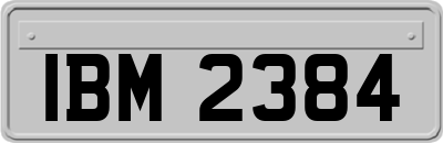 IBM2384