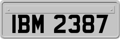 IBM2387