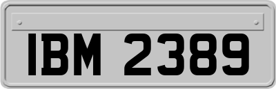 IBM2389