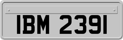 IBM2391