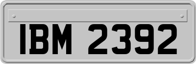 IBM2392