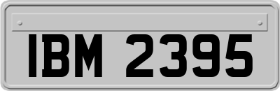 IBM2395