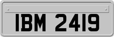 IBM2419