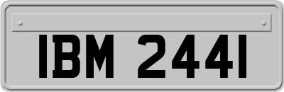 IBM2441