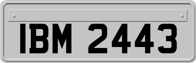 IBM2443