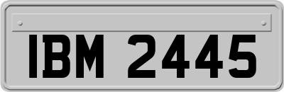 IBM2445