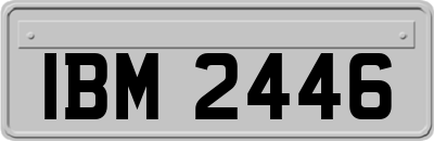 IBM2446