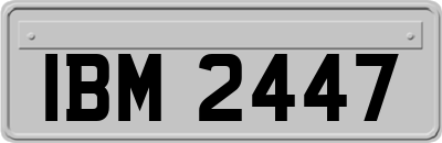 IBM2447