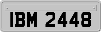 IBM2448