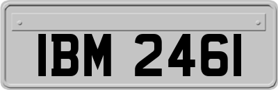 IBM2461