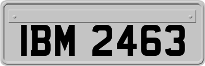 IBM2463