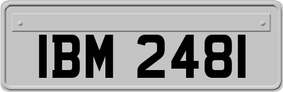 IBM2481