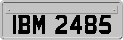 IBM2485