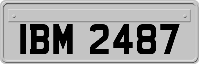 IBM2487