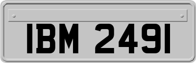 IBM2491