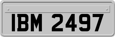 IBM2497