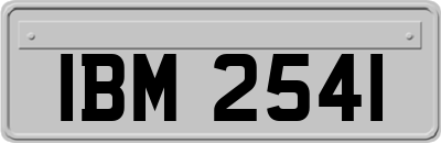 IBM2541