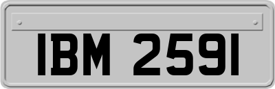 IBM2591