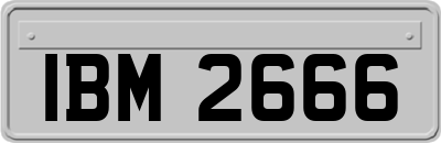 IBM2666