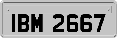 IBM2667