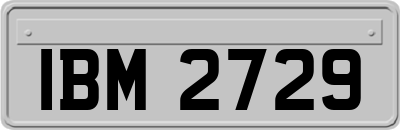 IBM2729