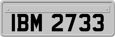 IBM2733