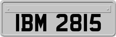 IBM2815