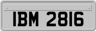 IBM2816