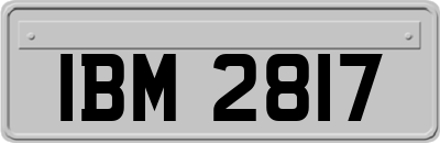 IBM2817