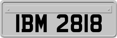 IBM2818