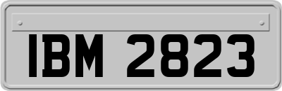 IBM2823